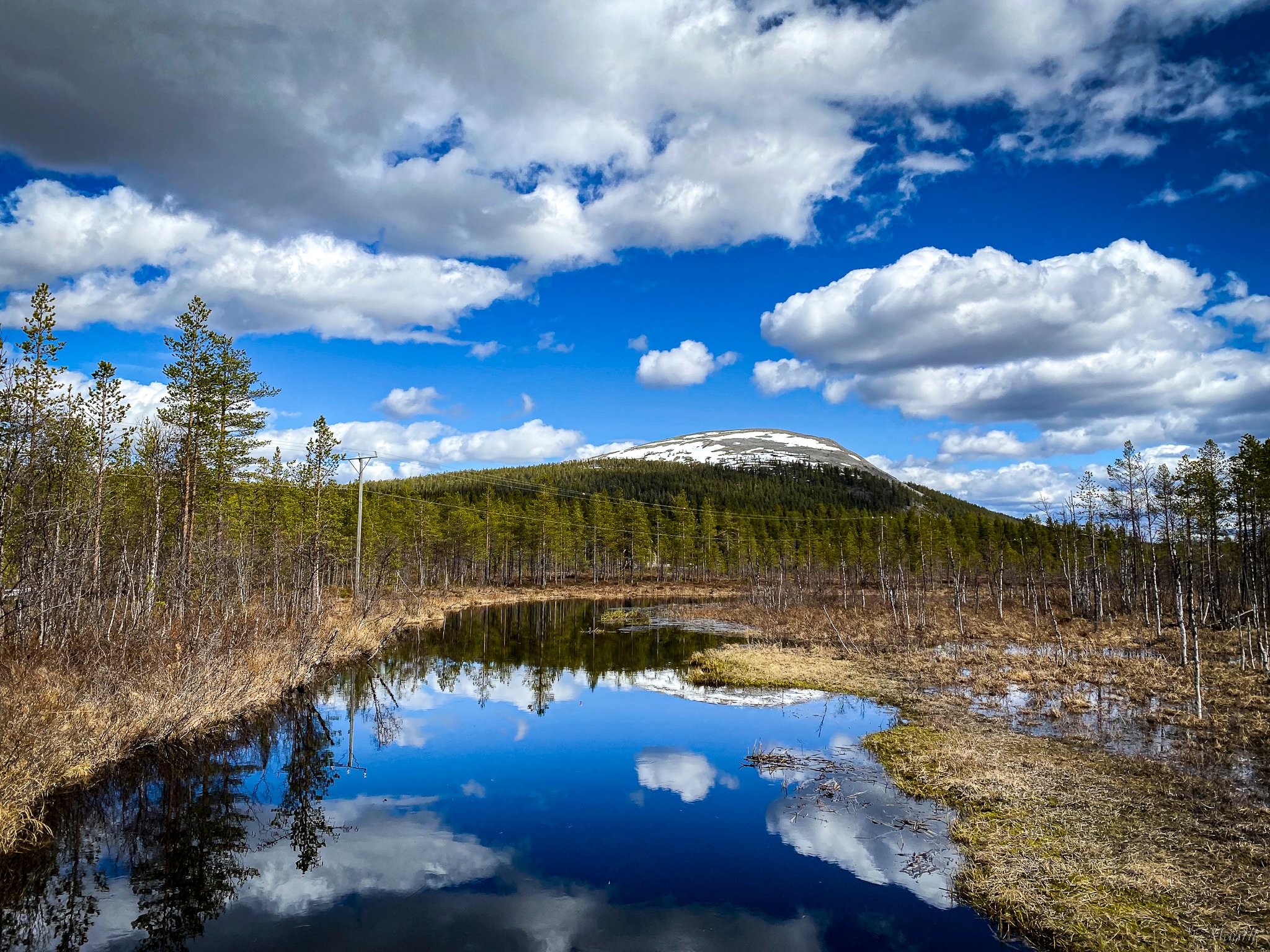 Kevään parhaita hetkiä