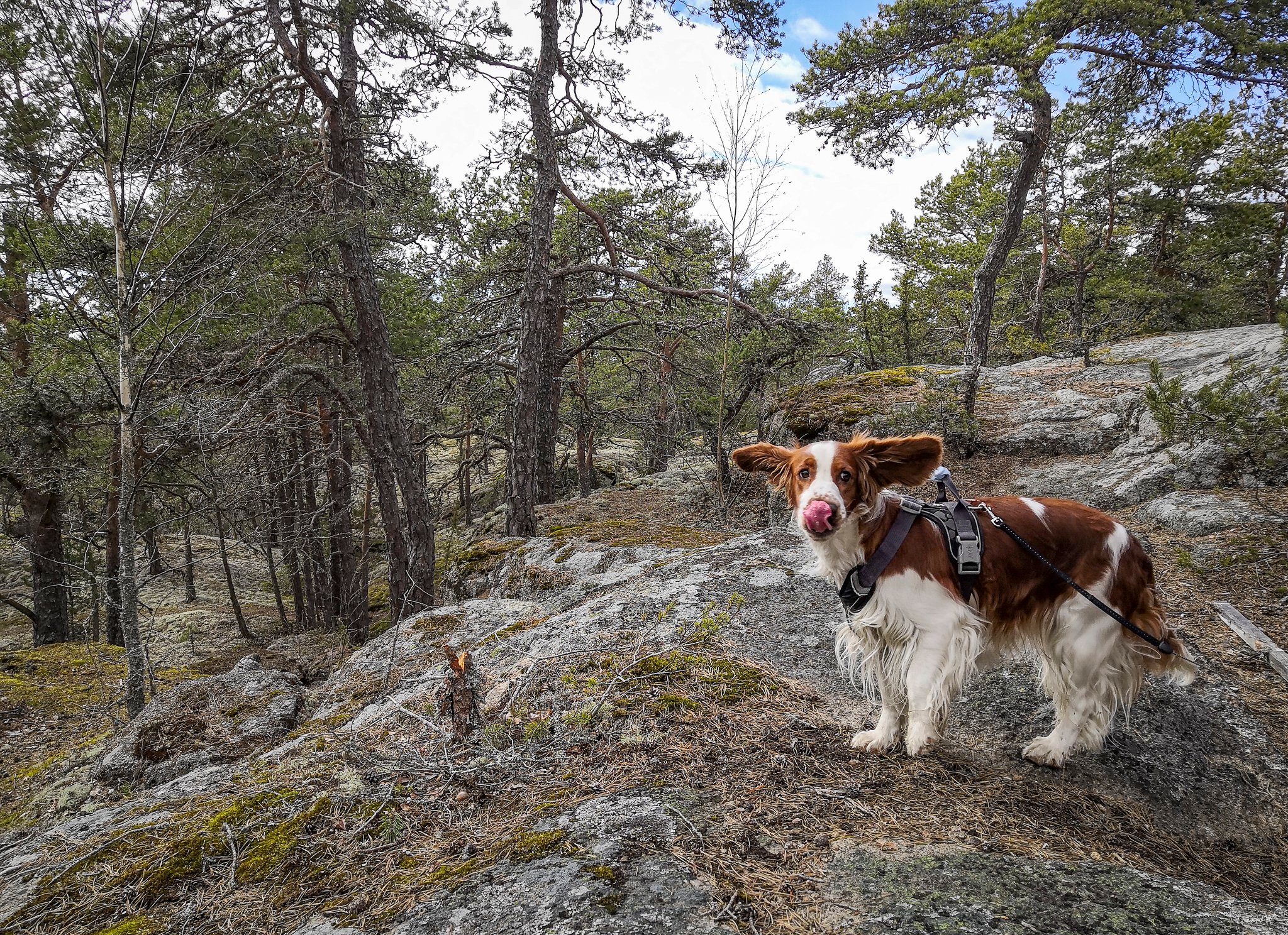 Jeremiaan luolat ja Kokonvuori