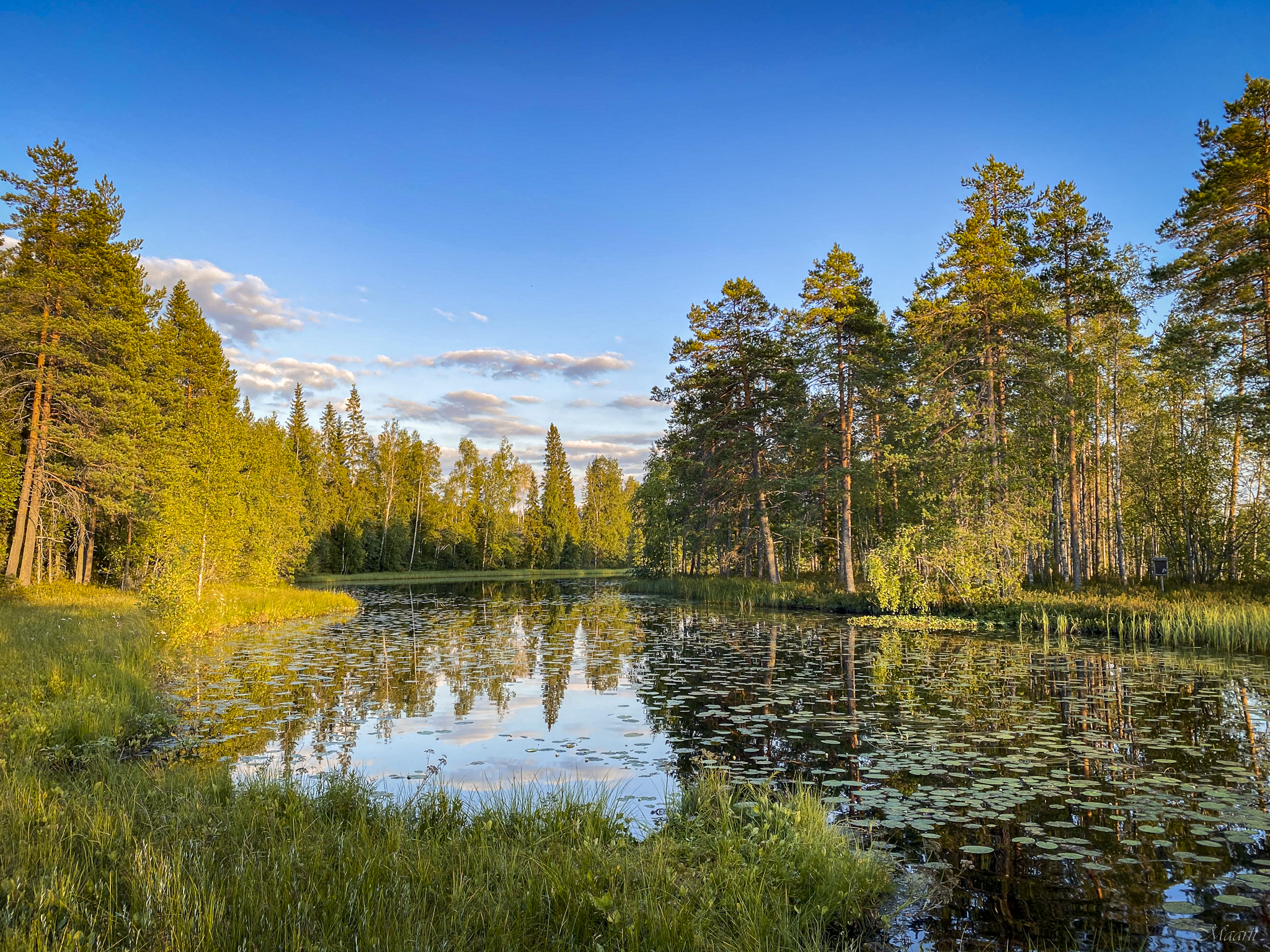 Nyrölän luontopolku Jyväskylässä