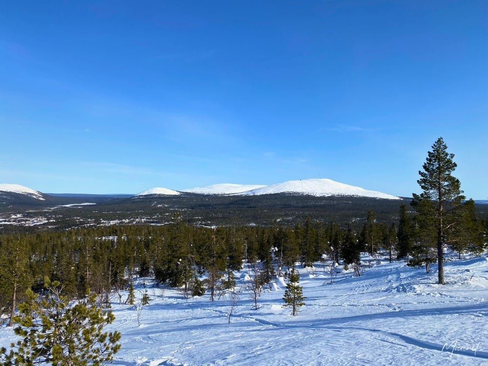 Kuertunturi kevättalvella