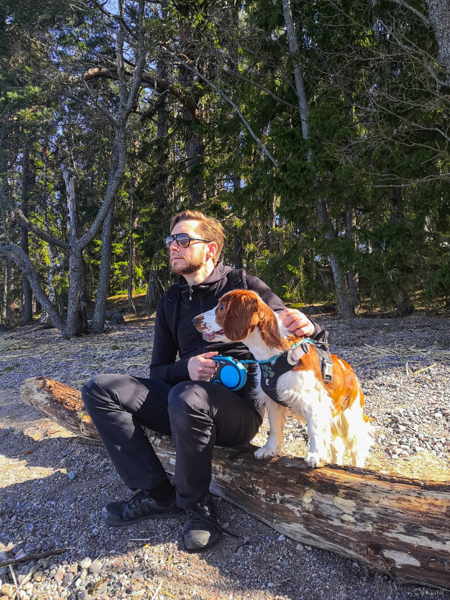 Saaronniemi huhtikuussa