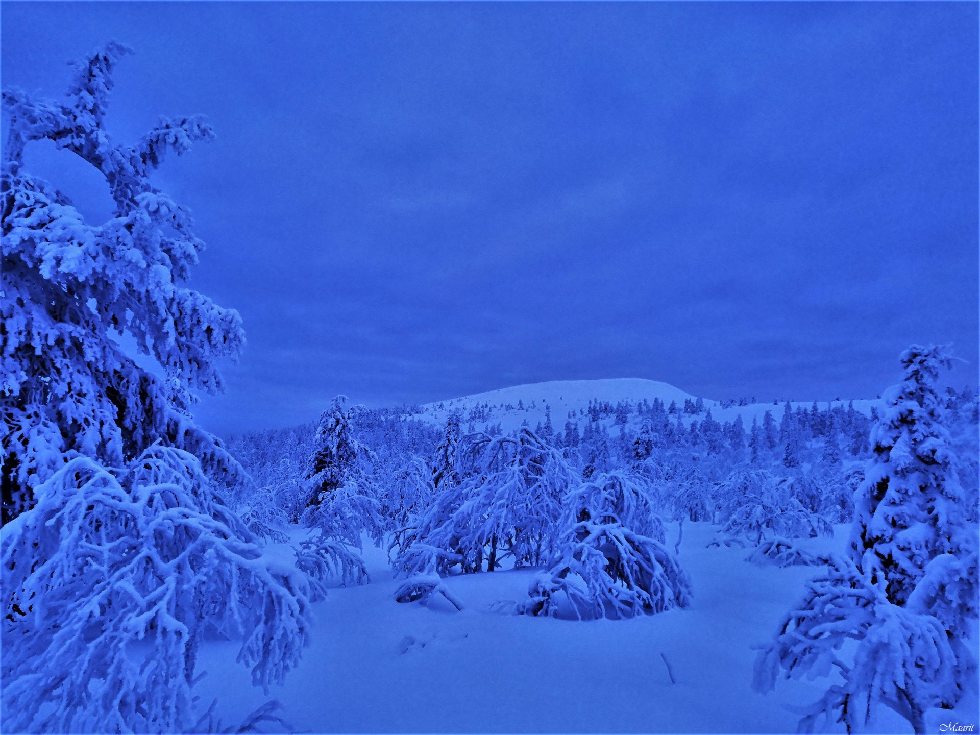 Kellostapulia kohti jouluaattona