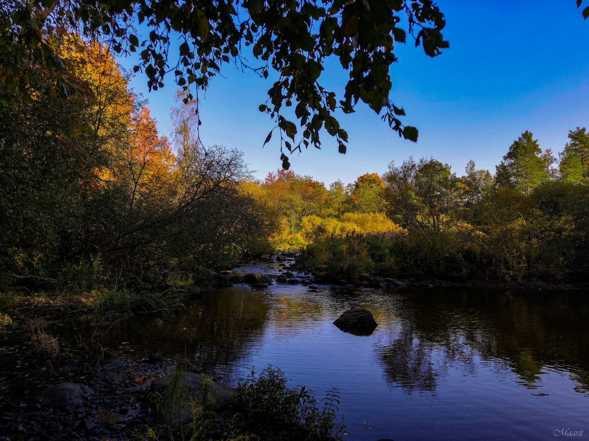 Nautelankoski syyskuussa