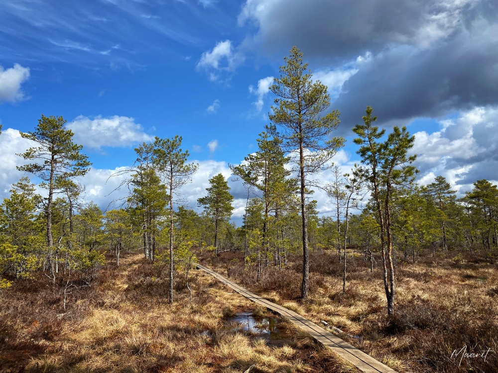 Savojärven kierros huhtikuussa