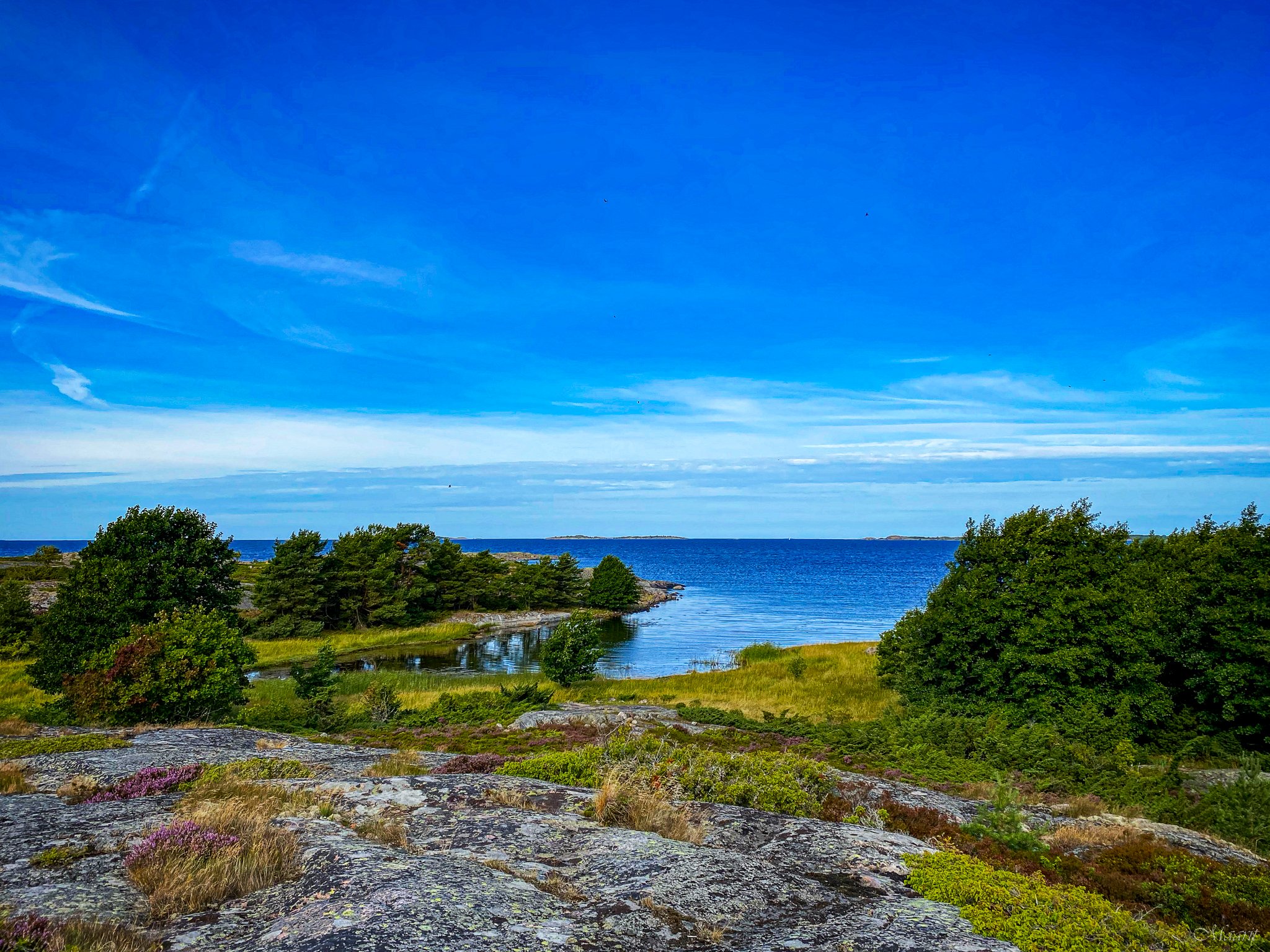 Trunsön saarella taas!