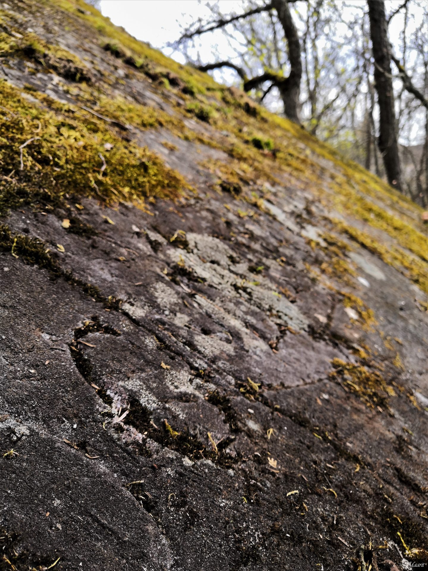 Laukkavuori Katariinanlaaksossa ja kalliohakkaukset