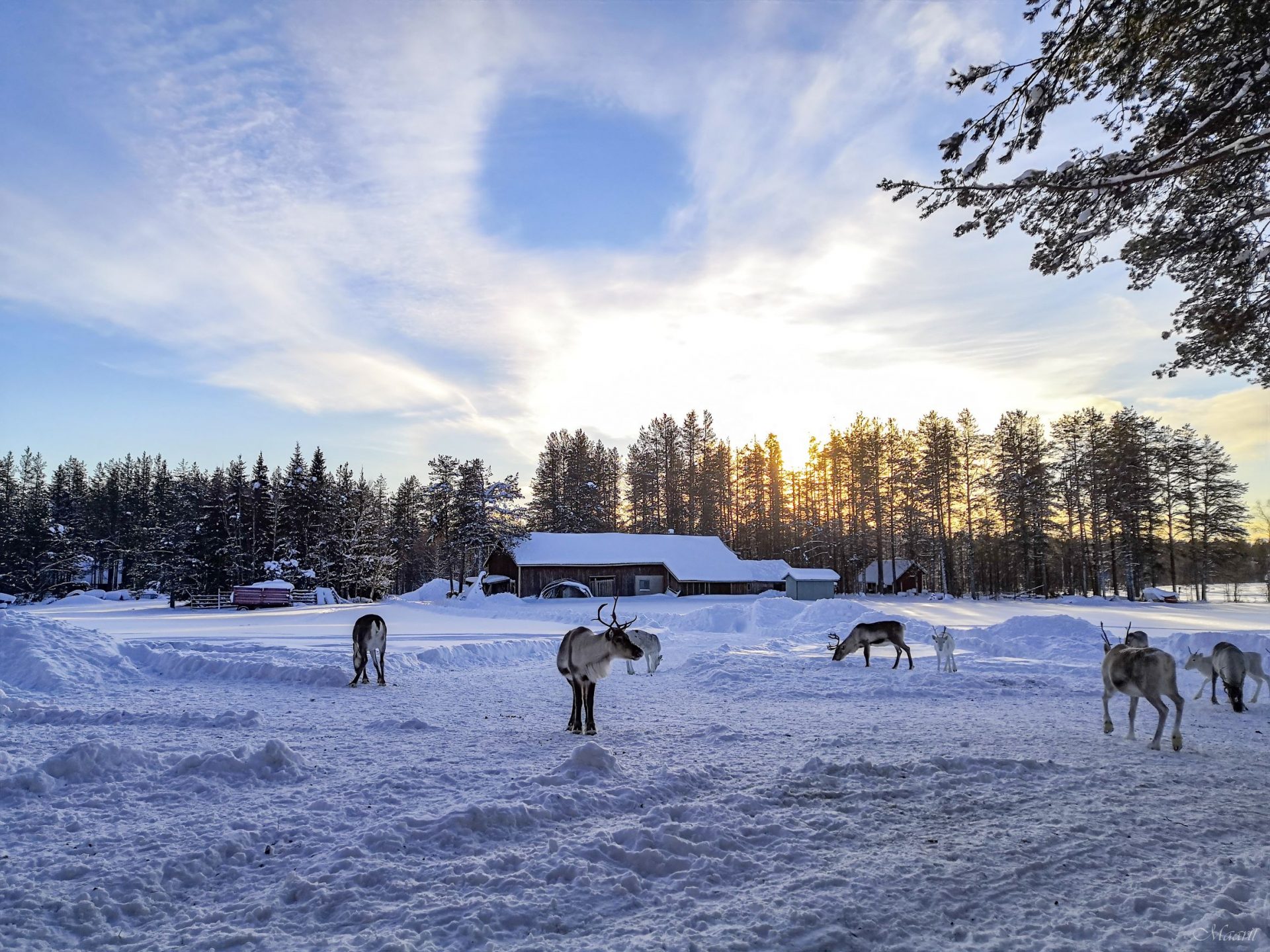 Mitä toivon joululta tänä vuonna?