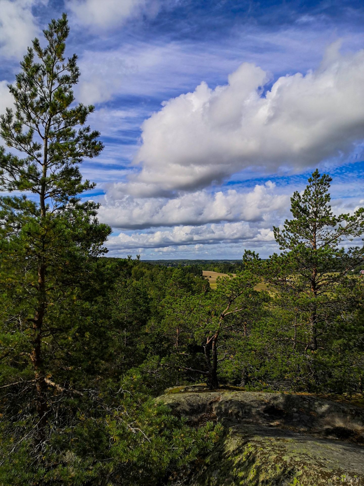 Sauhuvuori syyskuussa