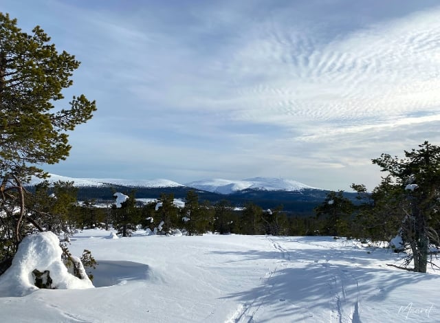 Kukastunturi pääsiäisenä