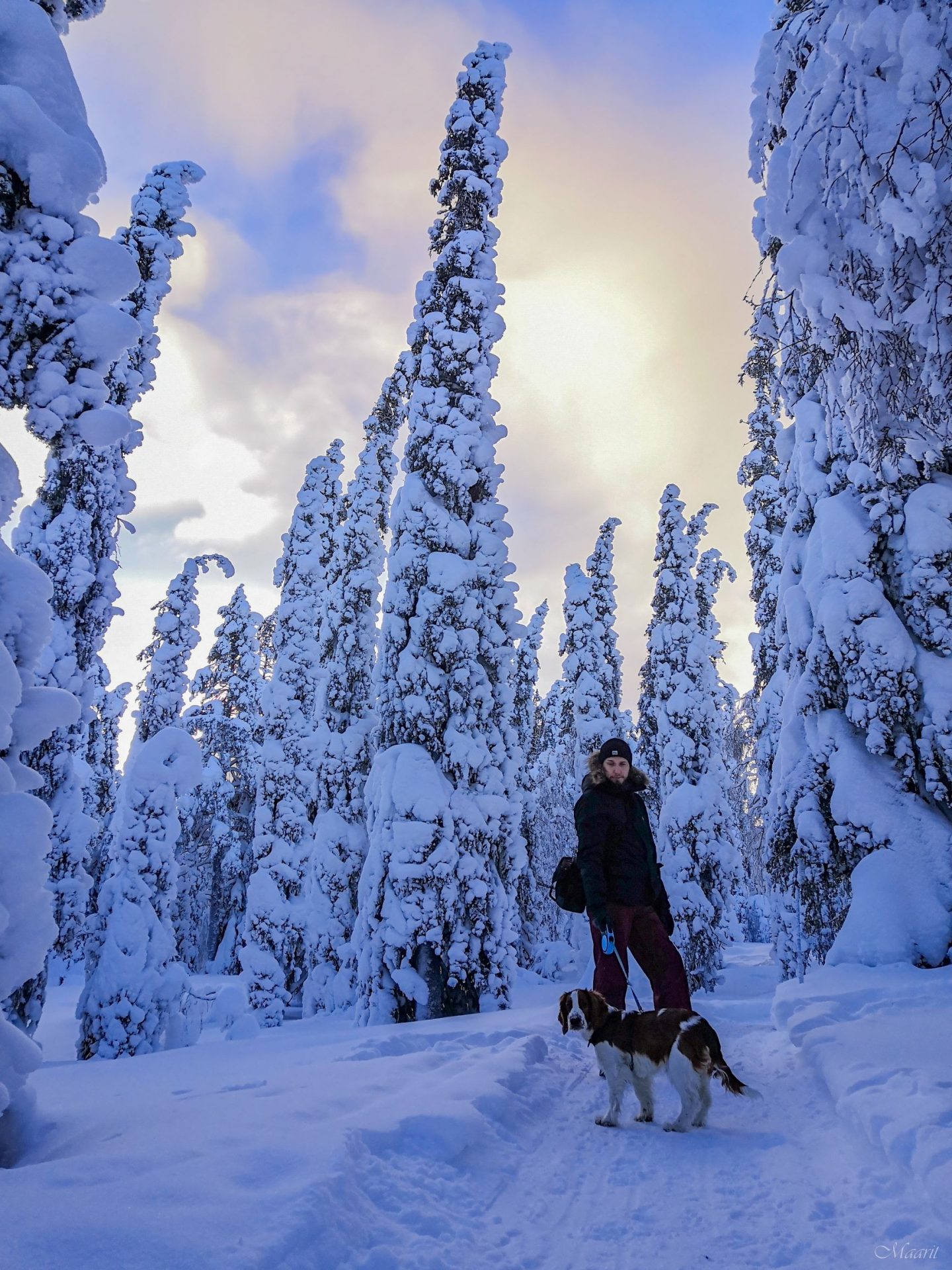 Varkaankuru talvella