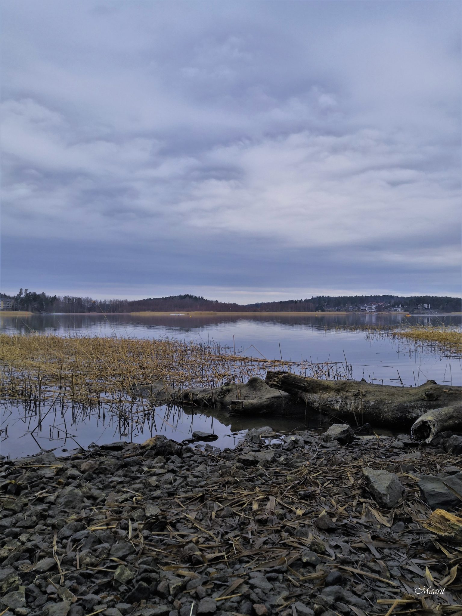 Keväinen Katariinanlaakso