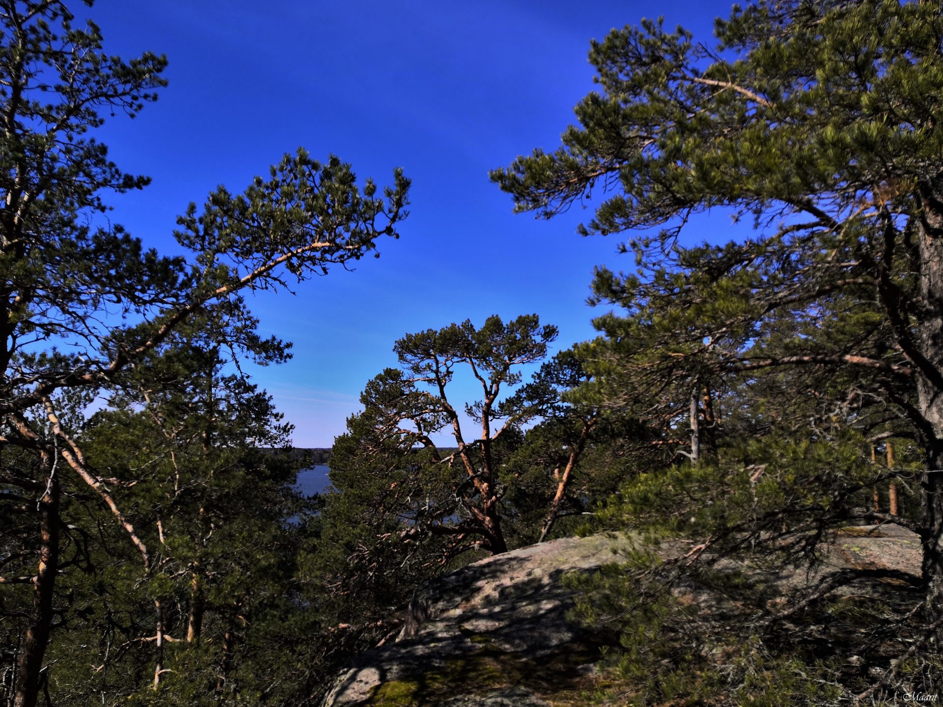 Kaasavuori Hirvensalossa