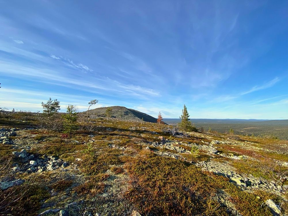 Kellostapuliin vauva mukana