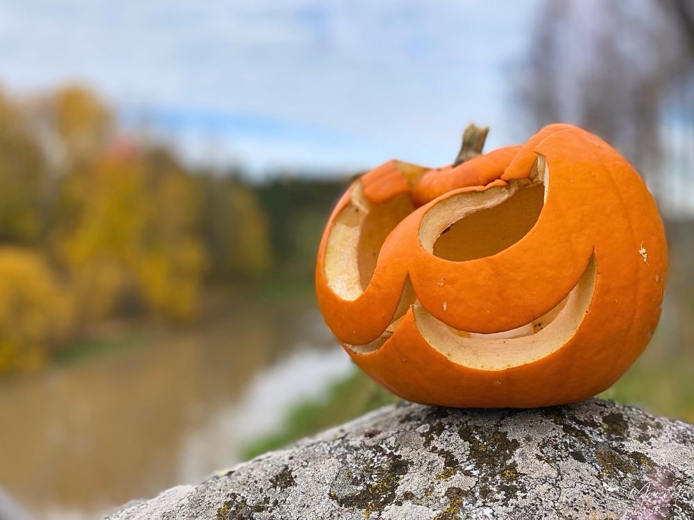 Kurpitsapuisto Salossa