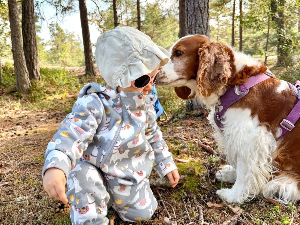 Kun puoliso on reissutöissä – arjesta selviytyminen yksin