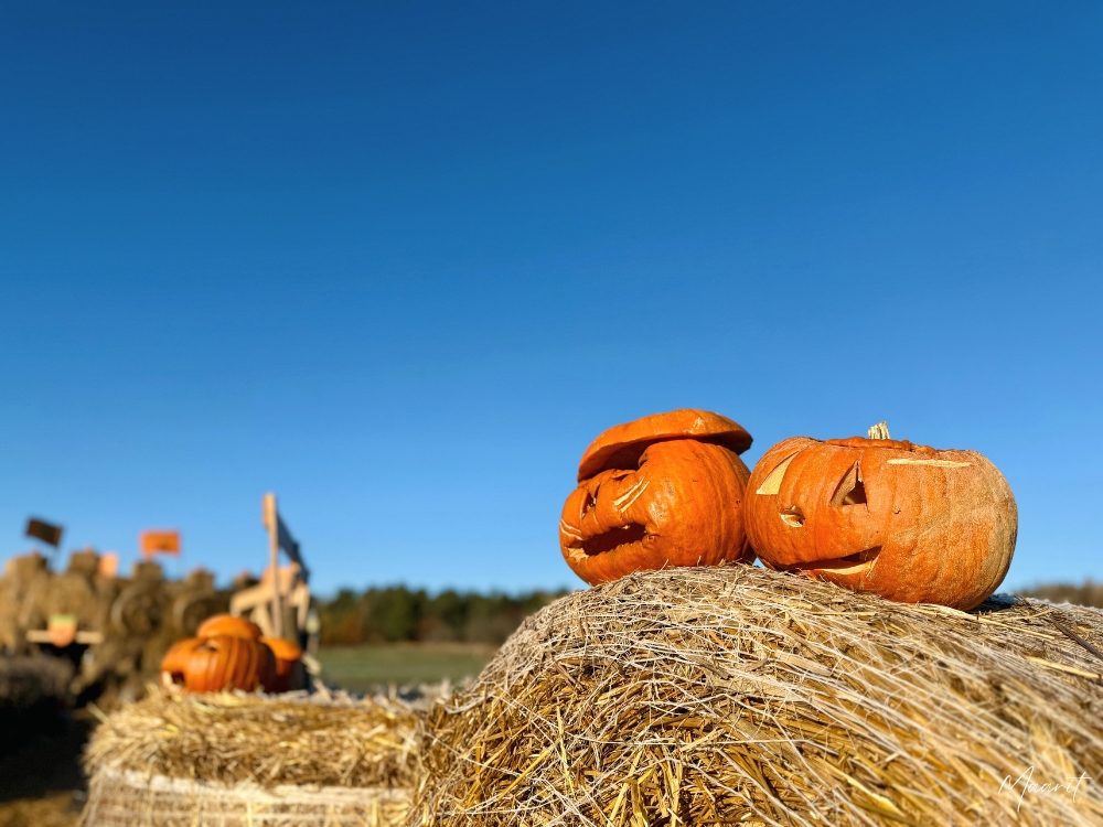 Syksyn taikaa Kurpitsapuistossa