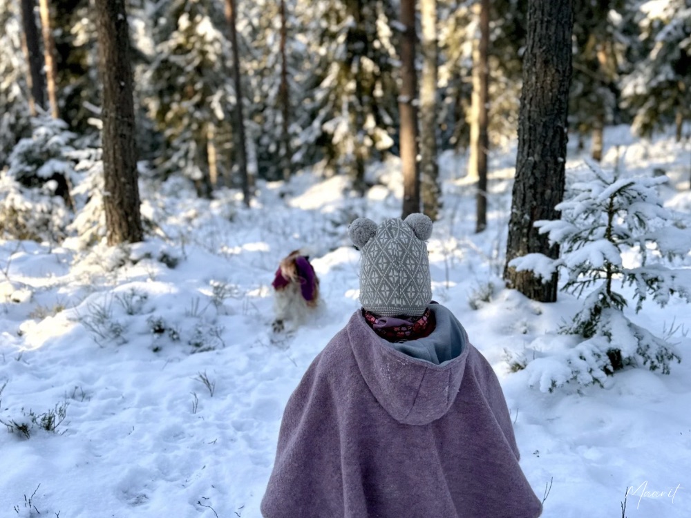 Ystävänpäivä koirametsässä
